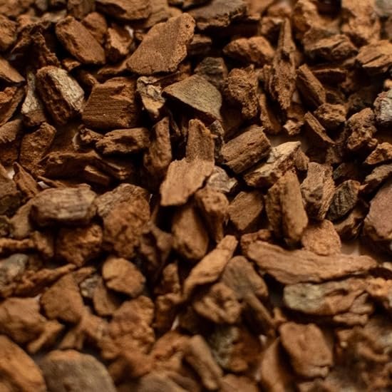 NineLife Basics BSG Cinnamon (Saigon) 1oz for Brewing and Distilling AZZ1804A