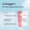 Mixhers Collagen Powder | 30-Day Supply | Blend with Marine Collagen, Protein Powder, Vitamin C, & Peptides | Skin, Hair & Nail Support for Women | Vanilla Cream Flavor view 3