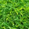 Stephanie Imports Made In USA 3-Ply Crinkle Cut Shredded Paper 2 lbs (Green Medley) view 1