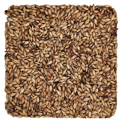 Home Brew Ohio Briess Caramel 30L Malt Grain 50lb