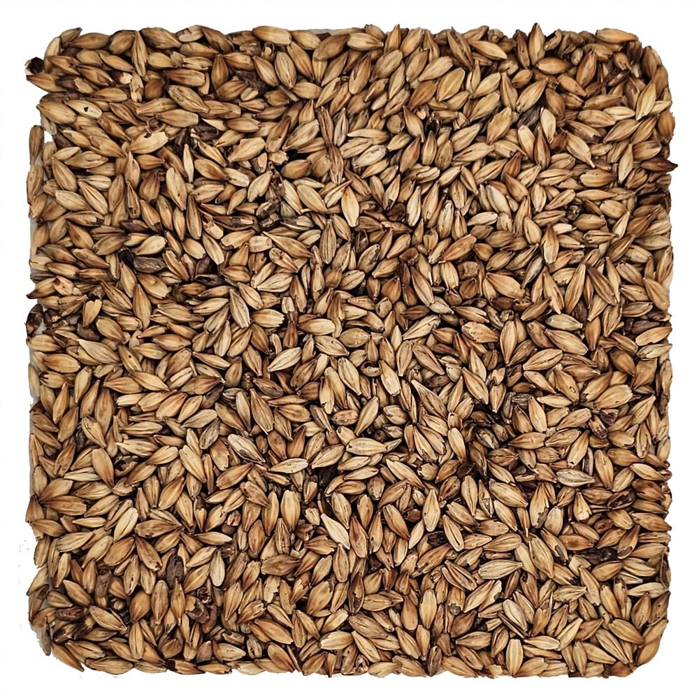 Home Brew Ohio Briess Caramel 30L Malt Grain 50lb