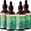 5-in-1 Mullein Drops for Lungs and Bronchial - Respiratory Lung Health Support with Mullen Leaf Extract for Lungs - Mullein Tincture with Elderberry, Echinacea and Ginger Root (120 Servings) (4-pack) view 1