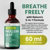 5-in-1 Mullein Drops for Lungs and Bronchial - Respiratory Lung Health Support with Mullen Leaf Extract for Lungs - Mullein Tincture with Elderberry, Echinacea and Ginger Root (120 Servings) (4-pack) view 2