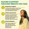 5-in-1 Mullein Drops for Lungs and Bronchial - Respiratory Lung Health Support with Mullen Leaf Extract for Lungs - Mullein Tincture with Elderberry, Echinacea and Ginger Root (120 Servings) (4-pack) view 4