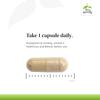 Terry Naturally Olive Extract EP20 - Brain Health Support Supplement with Olive Leaf Extract - Herbal Supplement to Aid Healthy Immune System Function - 60 Capsules (60 Servings) view 4