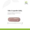 Terry Naturally Urinary Tract Intensive Support - Supplement with Cranberry for Bladder Health Support - Kidney Health Supplement with D-Mannose & Vitamin C - 60 Capsules (30 Servings) view 4