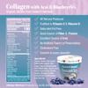 Gabriel & Daniel Instant Oatmeal w/Blueberries, Aa & Collagen  Non-GMO, Pure and Organic Gluten Free Oats  High Protein & Fiber for Skin, Heart & Brain Health  Quick & Easy Breakfast (Single Cup) view 2