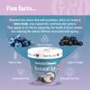 Gabriel & Daniel Instant Oatmeal w/Blueberries, Aa & Collagen  Non-GMO, Pure and Organic Gluten Free Oats  High Protein & Fiber for Skin, Heart & Brain Health  Quick & Easy Breakfast (Single Cup) view 3