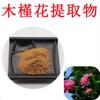 Bright sunlight Organic Hibiscus Flower Extract -500g/17.64oz|Shrubalthea Flower view 2