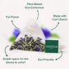 VAHDAM, Butterfly Pea Flower (15 Pyramid Bags) Vegan, Non-GMO | Delicate & Earthy | Direct From Source  Plant-Based Biodegradable | Brew Iced Tea, Cooking, Mocktails & Cocktails view 3