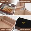 Bald Eagle Cigar Humidor, Handmade Cigar Box with Humidifier Hygrometer, Cedar Wood Glass Top Case, Hold 15-20 Cigars view 4