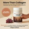 VITASEI Hydrolyzed Collagen Peptides Powder with Resveratrol & Vitamin C  Hair, Skin, Nails & Joint Support  Colgeno Hidrolizado for Women & Men  Delicious Chocolate Flavor, 16 oz (30 Servings) view 2