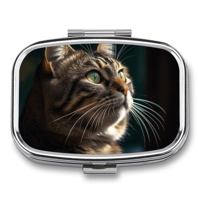 Pill Box 2 Compartment Small Pill Case for Purse & Pocket Tabby Cat Pictures Square Pill Box Cute Vitamins Fish Oil Supplements Oil Storage Box Portable Pill Containe Travel Gift