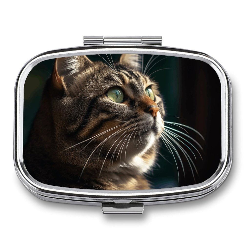 Pill Box 2 Compartment Small Pill Case for Purse & Pocket Tabby Cat Pictures Square Pill Box Cute Vitamins Fish Oil Supplements Oil Storage Box Portable Pill Containe Travel Gift