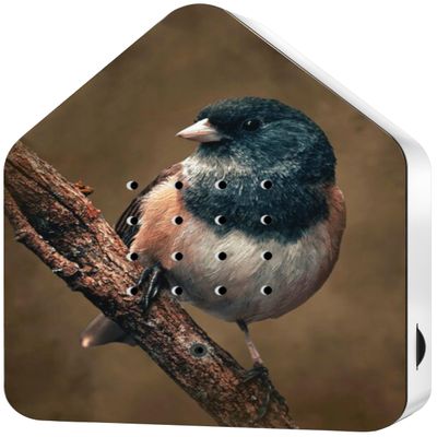 RELAXOUND Original Birdybox American Robin - Modern Nature Sound Box - Relaxing Cheerful Bird Concert - Motion Sensor with Sound - Relaxing Tool
