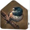 RELAXOUND Original Birdybox American Robin - Modern Nature Sound Box - Relaxing Cheerful Bird Concert - Motion Sensor with Sound - Relaxing Tool view 1