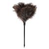 Natural Ostrich Feather Duster 14.9 inch Fluffy Mini Dusters with Plastic Handheld for Cleaning Car Keyboard Office 1 Pcs view 1