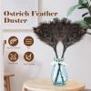 Natural Ostrich Feather Duster 14.9 inch Fluffy Mini Dusters with Plastic Handheld for Cleaning Car Keyboard Office 1 Pcs view 3