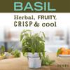 MRS. MEYER'S CLEAN DAY Basil Dish Soap (48 oz) & Lemon Verbena Hand Soap (33 oz) Bundle view 4