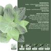 Ch Mais Brasileiro Boldo 10g | Boldus Leaf | Brazilian Tea | Product of Brazil - Pack of 3x10g view 3