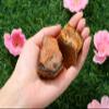 QINJIEJIE 2PCS Tiger Eye Natural Rough Healing Crystal 1.8-2.2'' Rocks Bulk Large Crystal Rocks Stones for Tumbling Cabbing Polishing Fountain Rocks DIY Decoration Handmade Gifts view 3