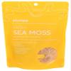 Generic P.lump Irish Sea Moss Gold 1.4 oz Pack of 6 view 1