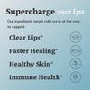 L-Lysine Cold Sore Treatment For Lips With Immune Support - L Lysine 1000mg Capsules, Chaga, Bee Propolis, Vitamin C, Zinc & Licorice Root Extract - Non-GMO, Vegetarian, 60 Capsules for Men and Women view 3