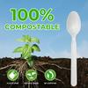 [1000 Count] Compostable Spoons Disposable Spoon Bulk Biodegradable Silverware Bulk Compostable No Plastic Utensils Heavy Duty Disposable Silverware Heat Resistant Cutlery for Party Daily Serving view 2