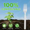 [1000 Count] Compostable Forks Disposable Forks Bulk Biodegradable Silverware Bulk Compostable No Plastic Utensils Heavy Duty Disposable Silverware Heat Resistant Cutlery for Party Daily Serving view 2