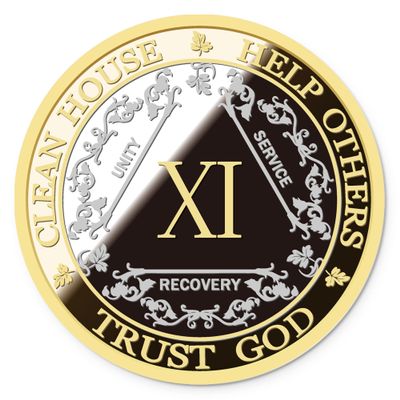 AA Sobriety Coin  Exquisite AA Anniversary Coins, Medallions & Chips  The Perfect Sober Gift for AA Recovery and Clean Milestones (Eleven Years)