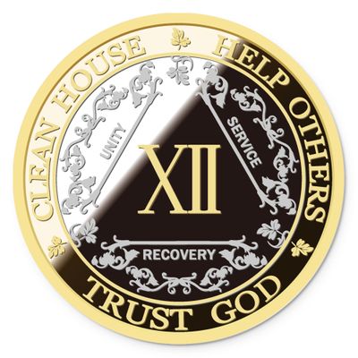 AA Sobriety Coin  Exquisite AA Anniversary Coins, Medallions & Chips  The Perfect Sober Gift for AA Recovery and Clean Milestones (Twelve Years)