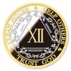 AA Sobriety Coin  Exquisite AA Anniversary Coins, Medallions & Chips  The Perfect Sober Gift for AA Recovery and Clean Milestones (Twelve Years) view 1