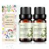 2-Pack Pine Needles Essential Oil - 100% Pure Organic Natural Plant (Pinus acus) Pine Needles Oil for Diffuser, Aroma, Spa, Massage, Yoga, Perfume, Body - 2x10ML view 1