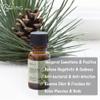 2-Pack Pine Needles Essential Oil - 100% Pure Organic Natural Plant (Pinus acus) Pine Needles Oil for Diffuser, Aroma, Spa, Massage, Yoga, Perfume, Body - 2x10ML view 3