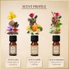 Arabian Oudh Diffuser Oil Set by Dukhni | 3x10ml Oud Essential Oil for Home view 2