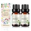 2-Pack Lily of Valley Essential Oil - 100% Pure Organic Natural Plant (Convallaria majalis) Lily of Valley Oil for Diffuser, Aroma, Spa, Massage, Yoga, Perfume, Body - 2x10ML view 1