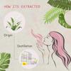 2-Pack Lily of Valley Essential Oil - 100% Pure Organic Natural Plant (Convallaria majalis) Lily of Valley Oil for Diffuser, Aroma, Spa, Massage, Yoga, Perfume, Body - 2x10ML view 2