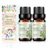 2-Pack Myrrh Essential Oil - 100% Pure Organic Natural Plant (Commiphora myrrha) Myrrh Oil for Diffuser, Aroma, Spa, Massage, Yoga, Perfume, Body - 2x10ML view 1