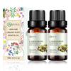 2-Pack Cardamom Essential Oil - 100% Pure Organic Natural Plant (Elettaria cardamomum) Cardamom Oil for Diffuser, Aroma, Spa, Massage, Yoga, Perfume, Body - 2x10ML view 1