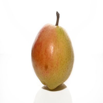 Fresh delicious Colossal Comice Pear by RawJoy Farms, 3 Pound