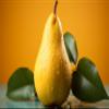 Fresh delicious Bosc Pears by RawJoy Farms. (1 Pound) view 1