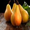 Fresh delicious Bosc Pears by RawJoy Farms. (1 Pound) view 3