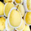 Fresh delicious Korean Pears by RawJoy Farms, 2 Pound view 4
