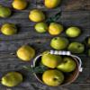 Fresh delicious Asian Pears by RawJoy Farms, 4 Pound view 2