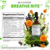 Clean Nutra Mullein Drops for Lungs Organic Chlorophyll Liquid Irish Sea Moss, Spirulina, Licorice, Tart Cherry Lobelia, Motherwort & Elderberry Mullein Leaf Extract Tincture Men Women Supplement view 4