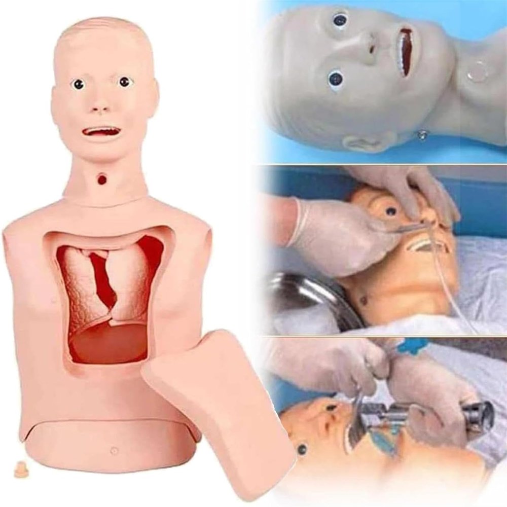 Intubation Gastric Tube Model Training Manikin Training Advanced Nasogastric Tube and Trachea Care Model Gastric Lavage Tracheostomy Model for Nurse and Medical Students (Large)