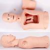 Intubation Gastric Tube Model Training Manikin Training Advanced Nasogastric Tube and Trachea Care Model Gastric Lavage Tracheostomy Model for Nurse and Medical Students (Large) view 2
