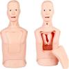Intubation Gastric Tube Model Training Manikin Training Advanced Nasogastric Tube and Trachea Care Model Gastric Lavage Tracheostomy Model for Nurse and Medical Students (Large) view 3
