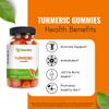 Turmeric Gummies - 60 Count - Turmeric/Ginger Flavor - Made in USA - Supports Joint, Bone & Skin Health - Curcumin with Black Pepper for Enhanced Absorption view 2
