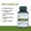 Green Organic Supplements Acetyl L-Carnitine, Carnitine, ALC, High Absorbable, Non-GMO, Gluten-Free (Pack of 4) view 3